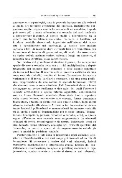 Archivio italiano di chirurgia