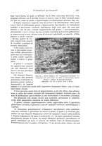 giornale/PUV0110166/1928/V.21/00000639