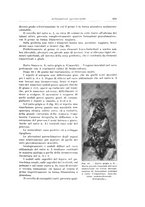 giornale/PUV0110166/1928/V.21/00000647
