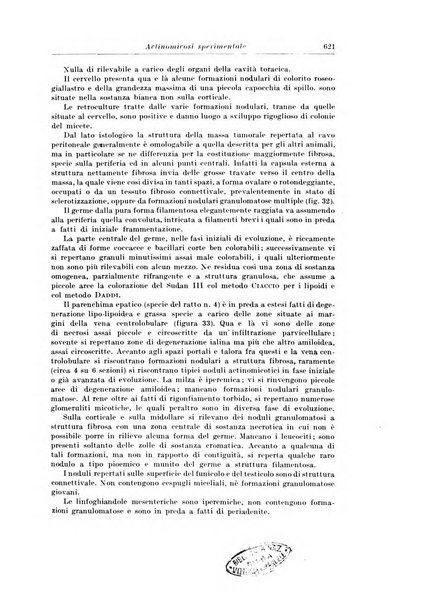 Archivio italiano di chirurgia