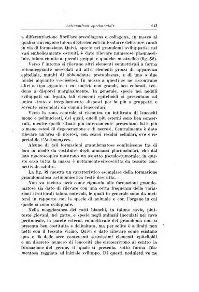 Archivio italiano di chirurgia