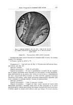 giornale/PUV0110166/1928/V.22/00000191