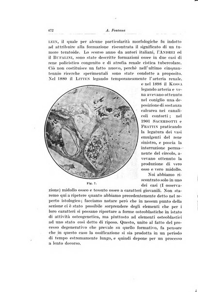 Archivio italiano di chirurgia