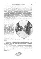 giornale/PUV0110166/1928/V.22/00000533