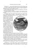 giornale/PUV0110166/1928/V.22/00000537