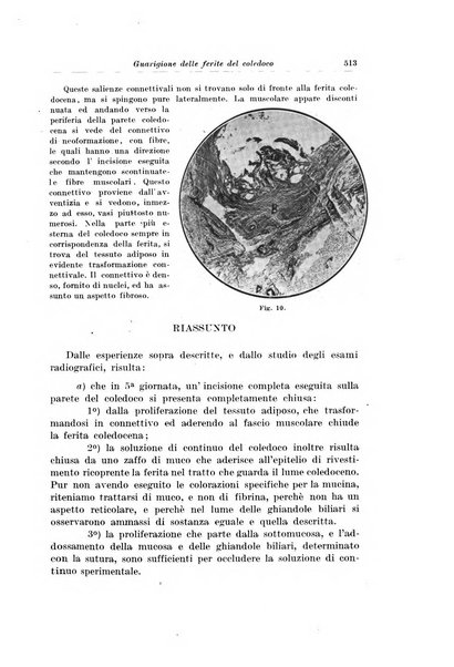 Archivio italiano di chirurgia