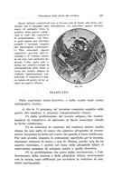 giornale/PUV0110166/1928/V.22/00000539