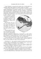 giornale/PUV0110166/1928/V.22/00000543