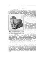 giornale/PUV0110166/1928/V.22/00000612