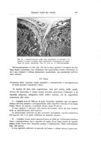 giornale/PUV0110166/1929/V.23/00000119