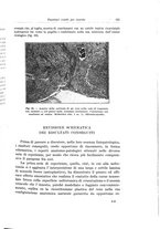 giornale/PUV0110166/1929/V.23/00000133