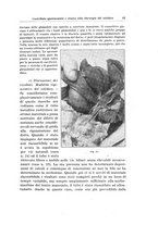 giornale/PUV0110166/1929/V.24/00000063