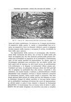 giornale/PUV0110166/1929/V.24/00000067