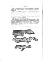 giornale/PUV0110166/1929/V.24/00000082