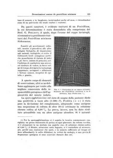 Archivio italiano di chirurgia