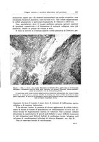 giornale/PUV0110166/1929/V.24/00000403