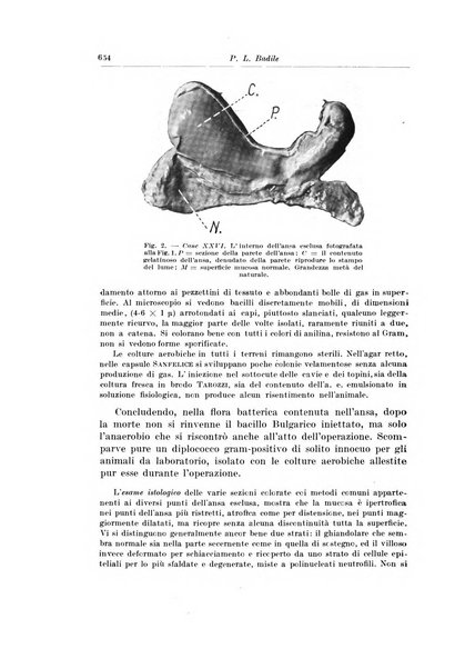 Archivio italiano di chirurgia