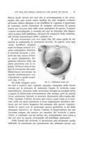 giornale/PUV0110166/1929/V.25/00000061