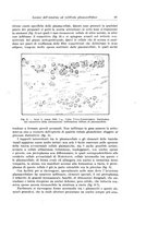 giornale/PUV0110166/1929/V.25/00000097