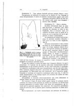 giornale/PUV0110166/1929/V.25/00000124