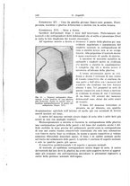 giornale/PUV0110166/1929/V.25/00000156