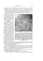 giornale/PUV0110166/1929/V.25/00000237