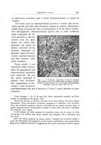 giornale/PUV0110166/1929/V.25/00000253