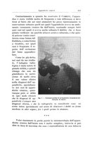 giornale/PUV0110166/1929/V.25/00000267