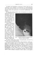 giornale/PUV0110166/1929/V.25/00000269