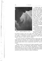 giornale/PUV0110166/1929/V.25/00000272