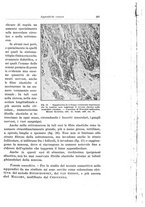 giornale/PUV0110166/1929/V.25/00000285