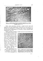 giornale/PUV0110166/1929/V.25/00000295