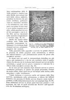 giornale/PUV0110166/1929/V.25/00000297