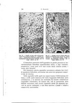 giornale/PUV0110166/1929/V.25/00000298