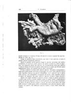 giornale/PUV0110166/1929/V.25/00000356