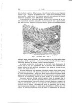 giornale/PUV0110166/1929/V.25/00000368
