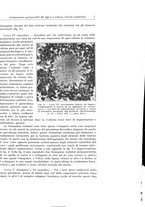 giornale/PUV0110166/1931/V.28/00000017