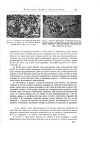 giornale/PUV0110166/1931/V.28/00000135