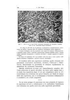 giornale/PUV0110166/1931/V.28/00000212