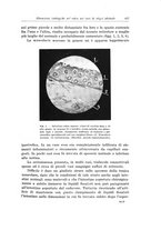 giornale/PUV0110166/1931/V.28/00000431