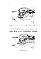 giornale/PUV0110166/1931/V.28/00000558