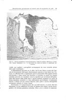 giornale/PUV0110166/1931/V.29/00000033
