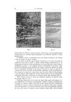 giornale/PUV0110166/1931/V.29/00000084