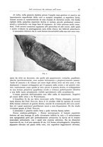 giornale/PUV0110166/1931/V.30/00000071