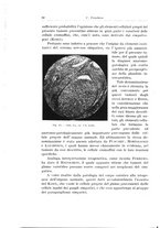 giornale/PUV0110166/1932/V.31/00000082