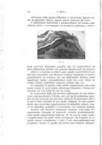 giornale/PUV0110166/1932/V.31/00000124