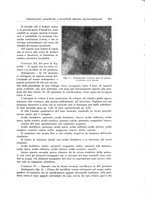 giornale/PUV0110166/1932/V.31/00000303