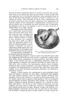 giornale/PUV0110166/1932/V.31/00000487