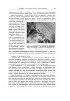 giornale/PUV0110166/1932/V.31/00000523