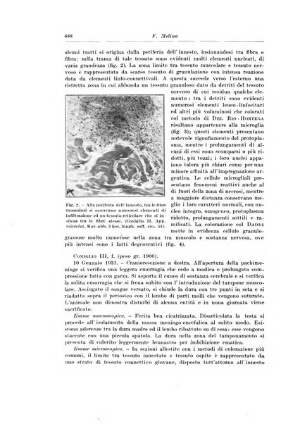 Archivio italiano di chirurgia